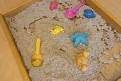 IMG-20250616-WA0005